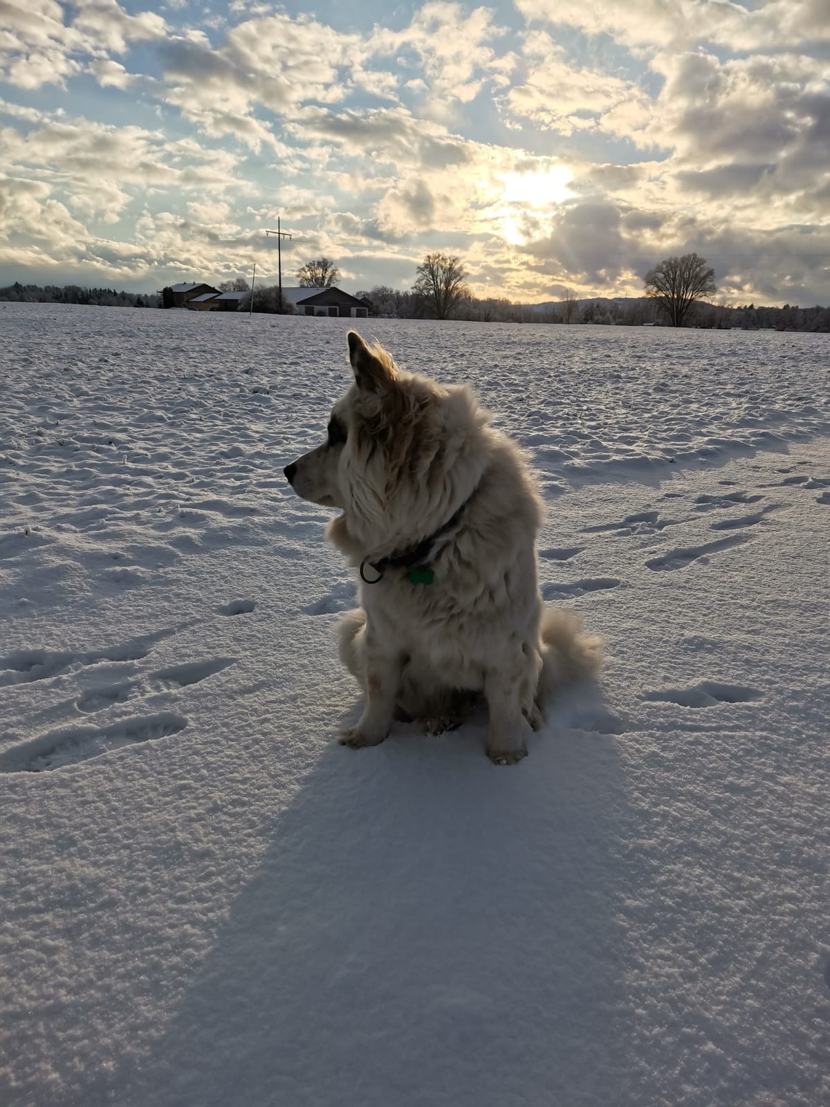 Seenlandschaft im Pfaffenwinkel